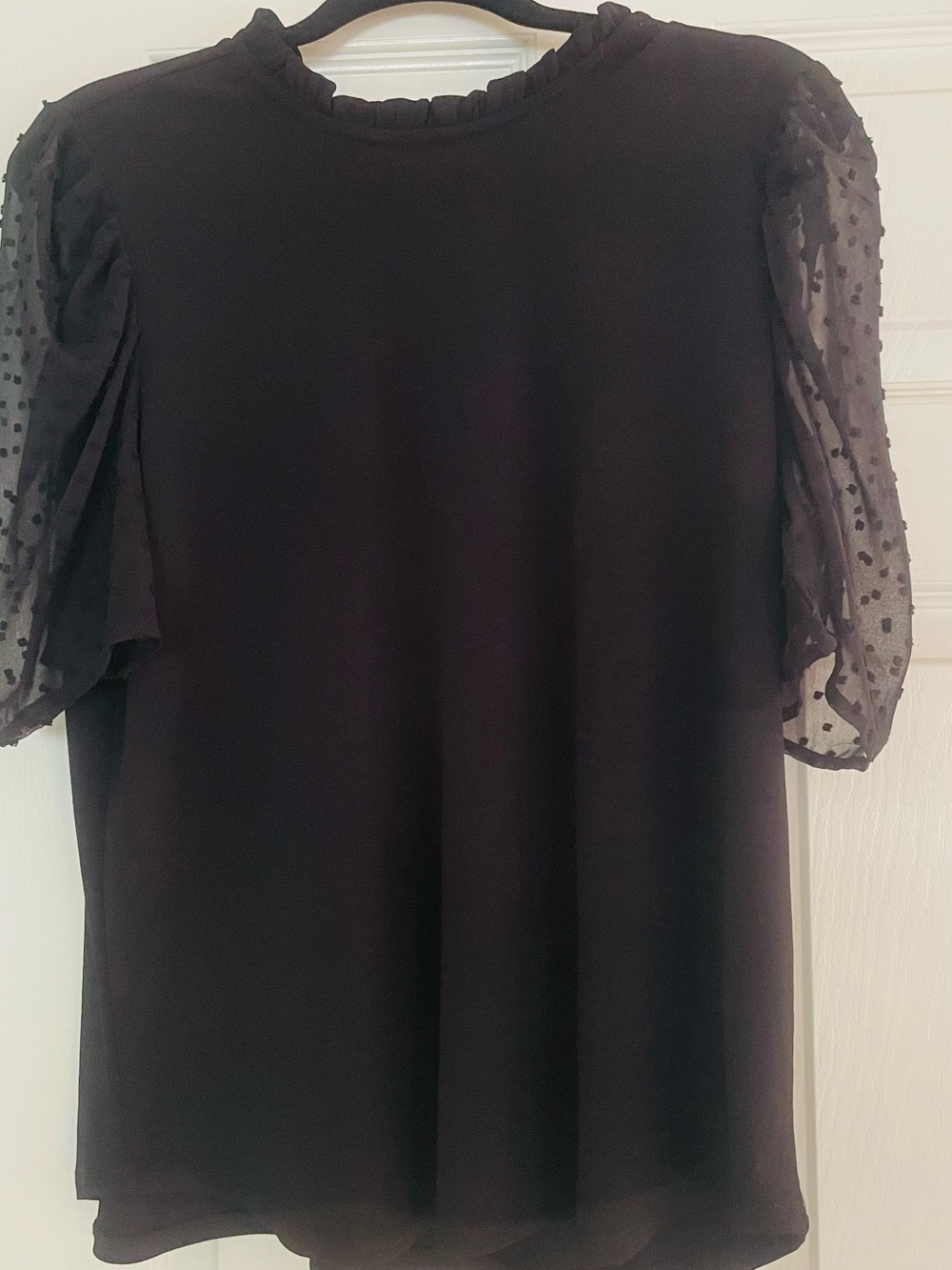 Adrianna Papell Black Ruffle Neck Blouse